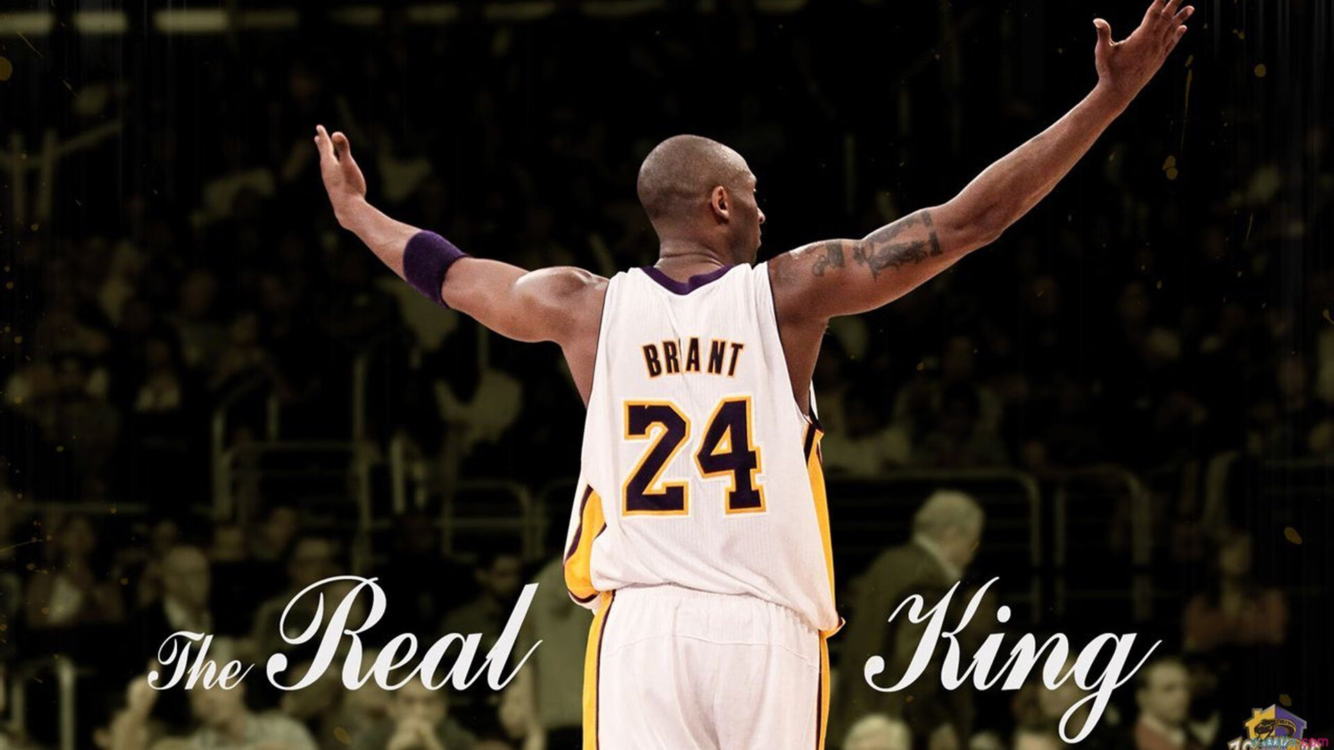 青训体系的崛起:联盟未来的“摇篮”在哪里?,lol青训啥意思